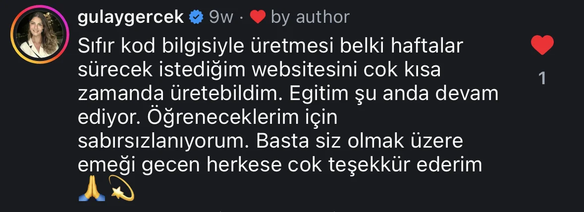 @gulaygercek Instagram yorumu