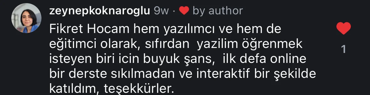 @zeynepkoknaroglu Instagram yorumu